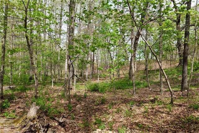 TBD Hummingbird Road, Gravette, AR 72736
