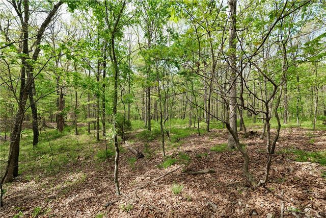 TBD Hummingbird Road, Gravette, AR 72736