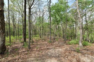 TBD Hummingbird Road, Gravette, AR 72736