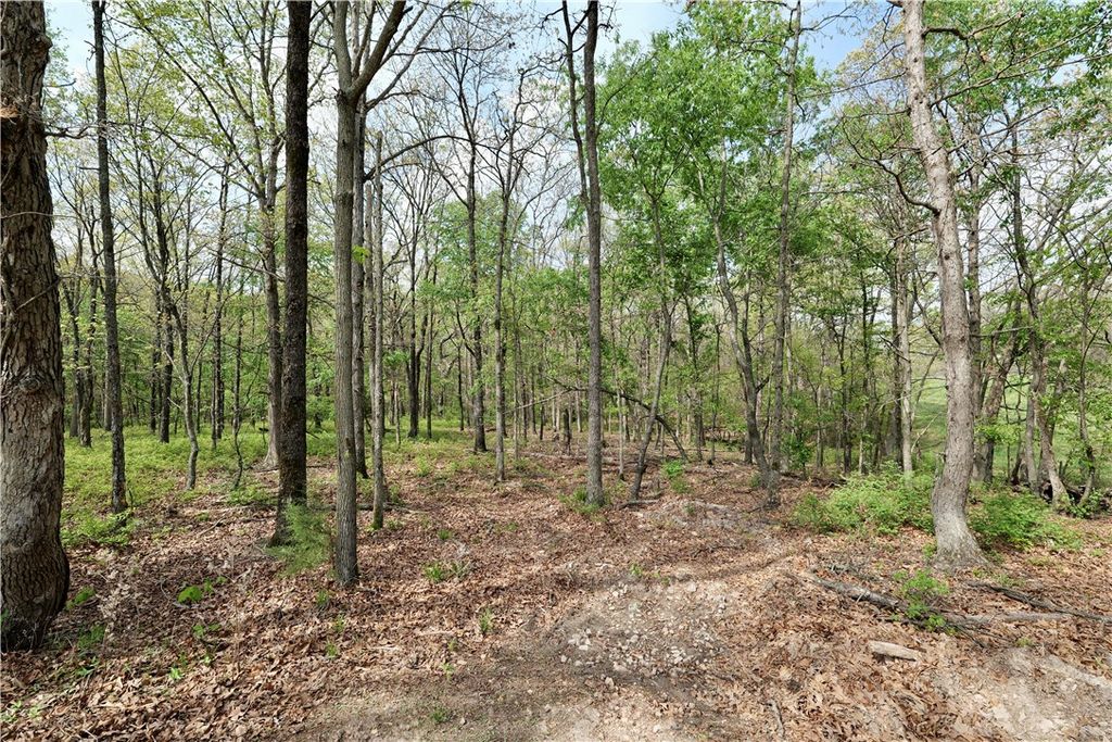 TBD Hummingbird Road, Gravette, AR 72736