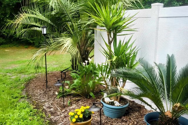 783 Painted Bunting Dr Unit C, Murrells Inlet, SC 29576