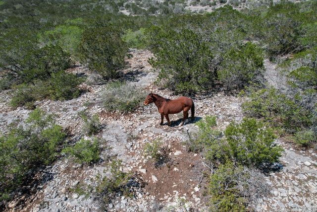 00 RM 334, Brackettville, TX 78832