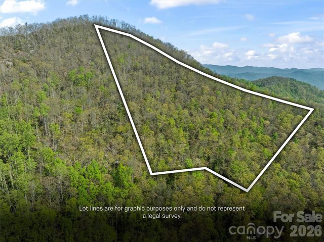 21 Reillys Bluff Road 1, Barnardsville, NC 28709