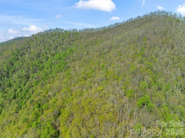 21 Reillys Bluff Road 1, Barnardsville, NC 28709