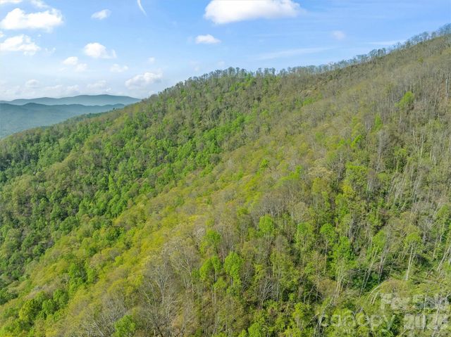 21 Reillys Bluff Road 1, Barnardsville, NC 28709