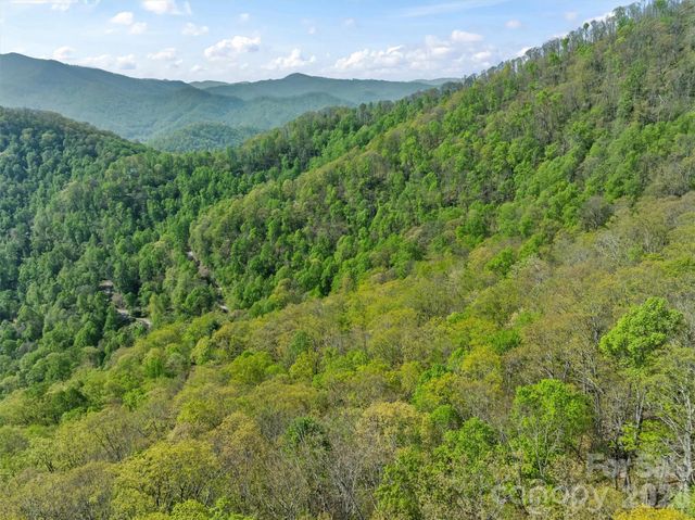 21 Reillys Bluff Road 1, Barnardsville, NC 28709