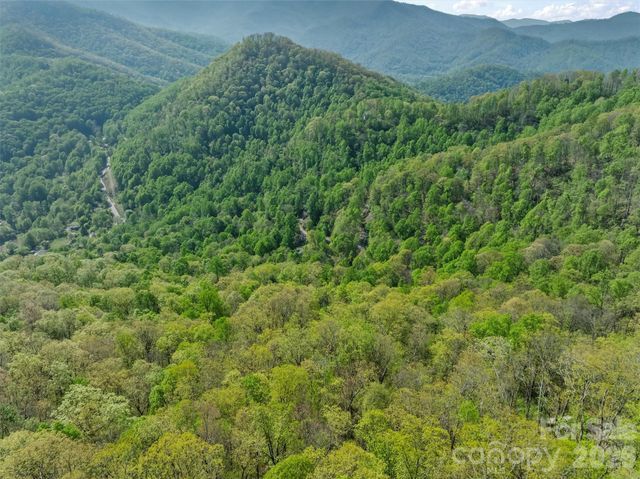 21 Reillys Bluff Road 1, Barnardsville, NC 28709