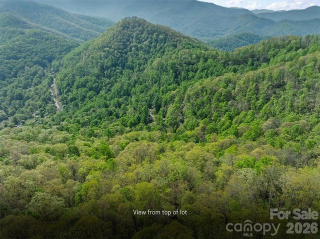 21 Reillys Bluff Road 1, Barnardsville, NC 28709