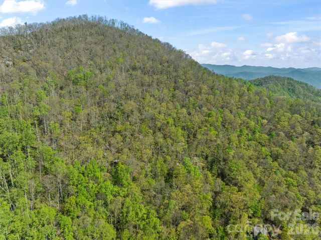21 Reillys Bluff Road 1, Barnardsville, NC 28709