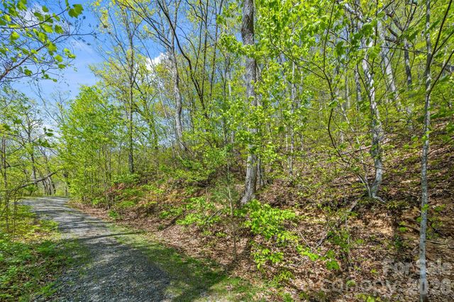21 Reillys Bluff Road 1, Barnardsville, NC 28709