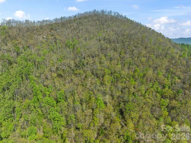 21 Reillys Bluff Road 1, Barnardsville, NC 28709
