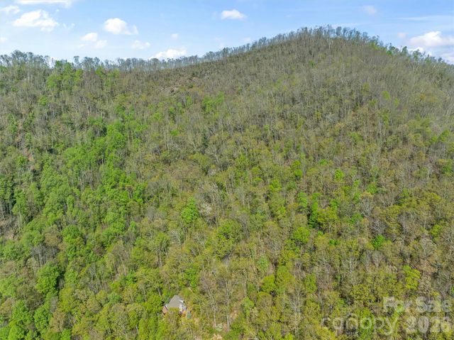 21 Reillys Bluff Road 1, Barnardsville, NC 28709
