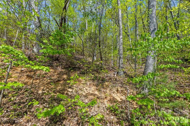21 Reillys Bluff Road 1, Barnardsville, NC 28709