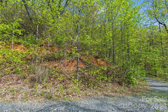 21 Reillys Bluff Road 1, Barnardsville, NC 28709