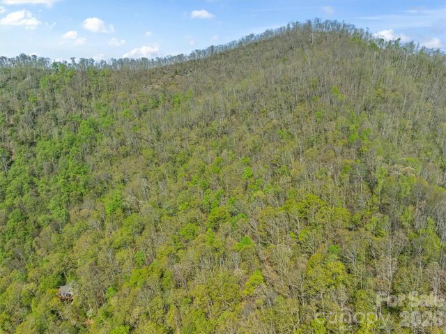 21 Reillys Bluff Road 1, Barnardsville, NC 28709