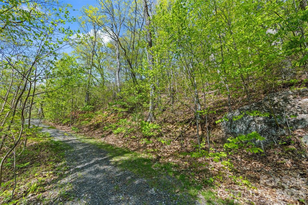 21 Reillys Bluff Road 1, Barnardsville, NC 28709