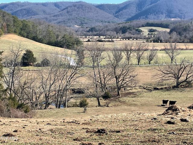 8893 Asheville Highway, Greeneville, TN 37743