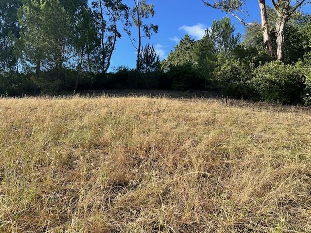 Image 4 of property listing at 25391 OKEEFE LANE,, Los Altos Hills, CA 94022