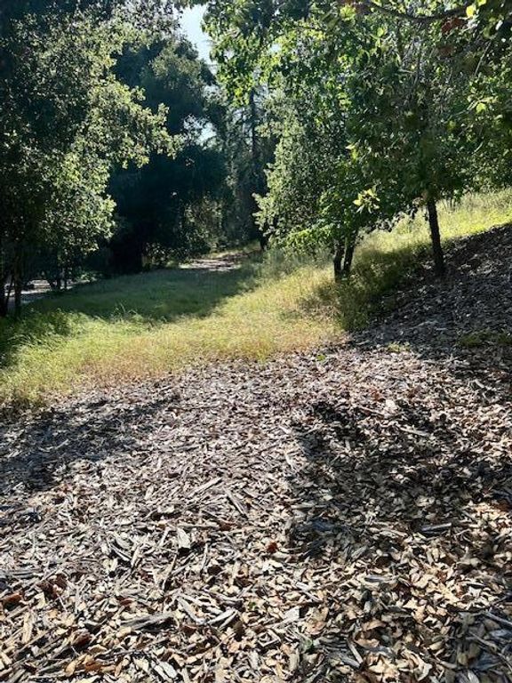 Image 8 of property listing at 25391 OKEEFE LANE,, Los Altos Hills, CA 94022