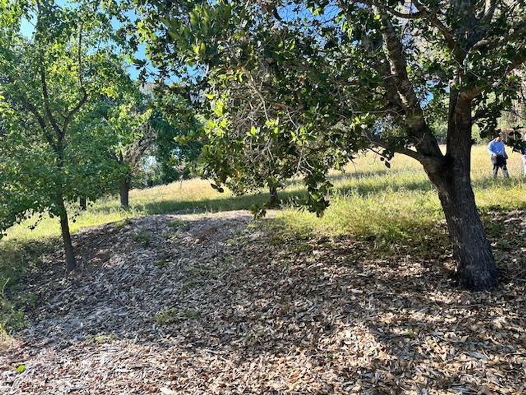 Image 9 of property listing at 25391 OKEEFE LANE,, Los Altos Hills, CA 94022