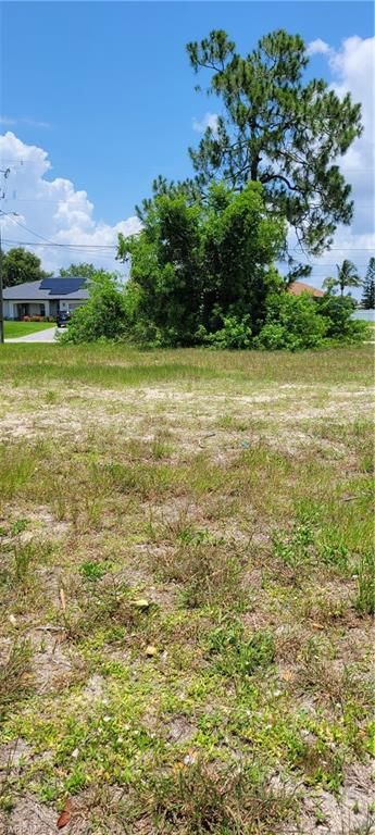 2504 NW 24th TER, CAPE CORAL, FL 33993 — photo 5