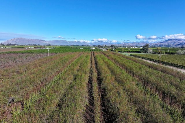 0 S Crawford Avenue, Reedley, CA 93654