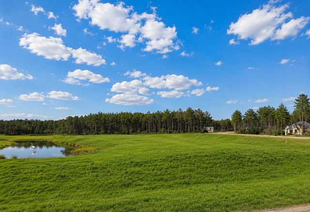 15525 Forest Grove Drive, Willis, TX 77378