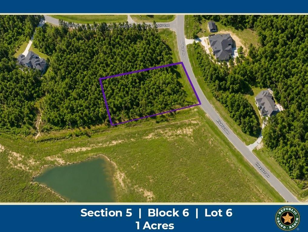 15525 Forest Grove Drive, Willis, TX 77378