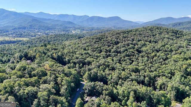 6132 Ruth Drive, Young Harris, GA 30582