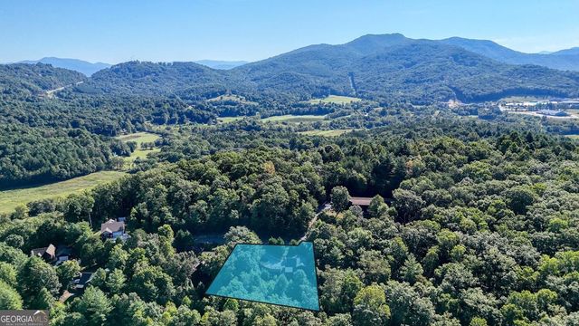 6132 Ruth Drive, Young Harris, GA 30582