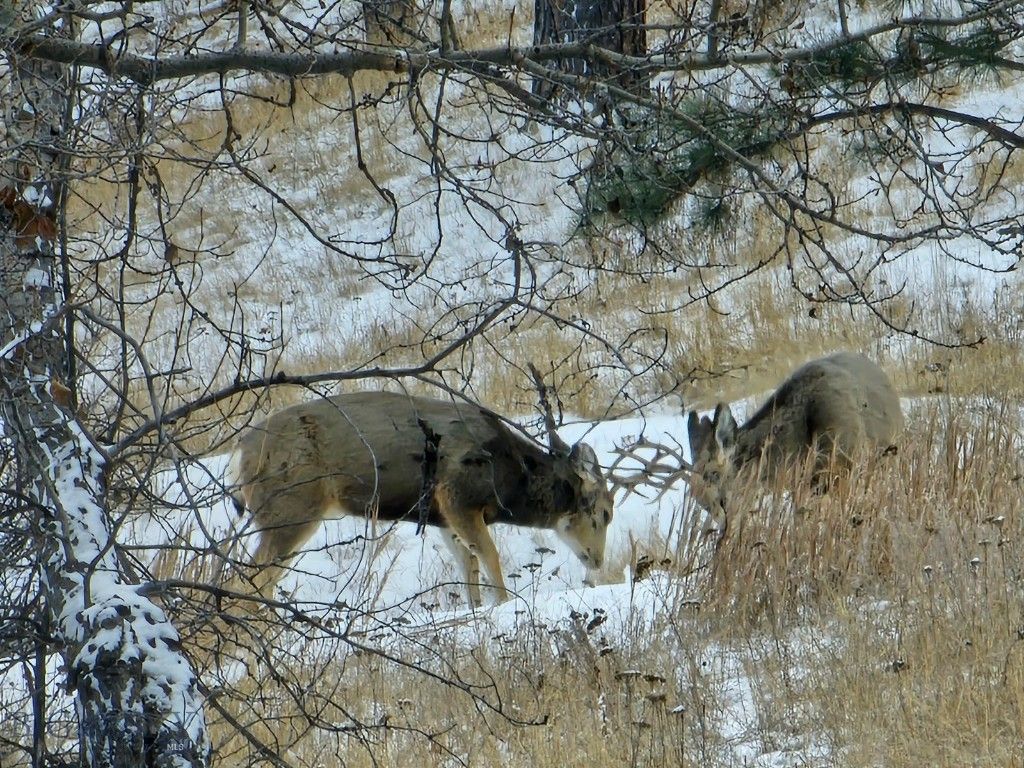 TBD 147A, Hardin, MT 59024 photo 15