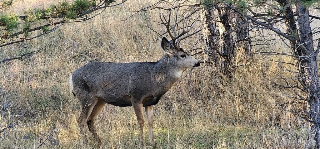 TBD 147A, Hardin, MT 59024 photo 16