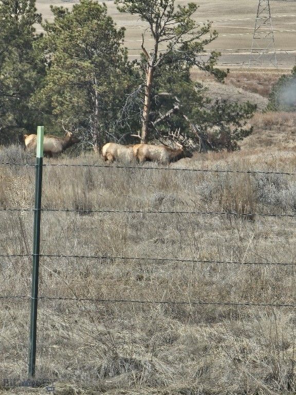 TBD 147A, Hardin, MT 59024 photo 33