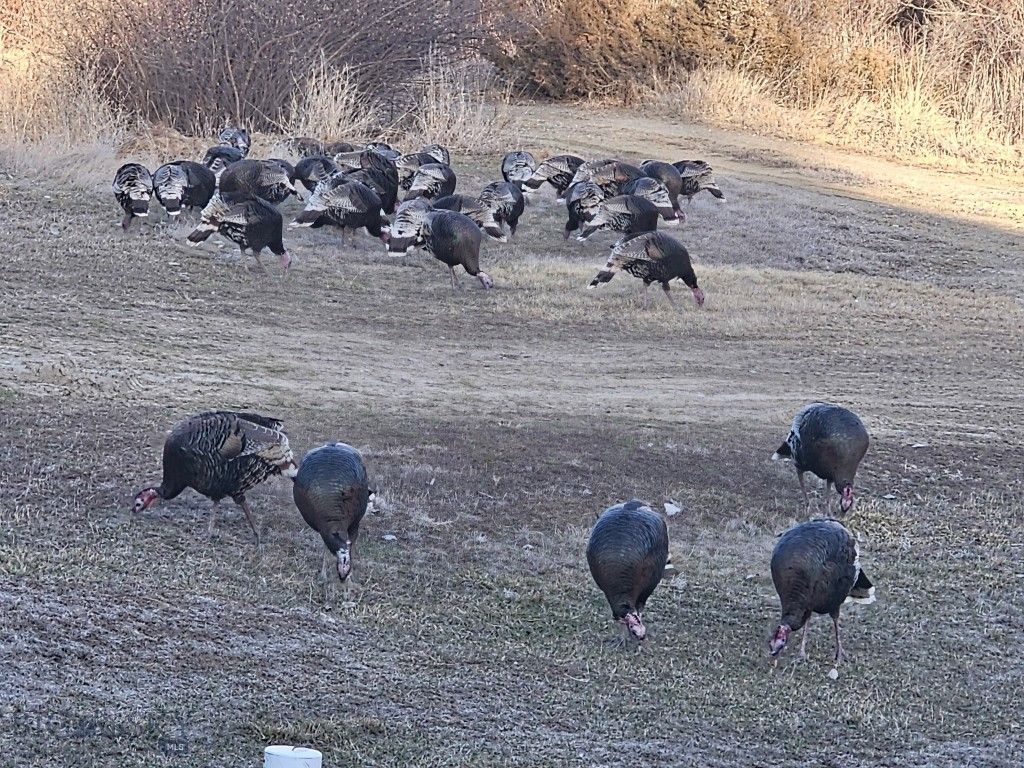 TBD 147A, Hardin, MT 59024 photo 53
