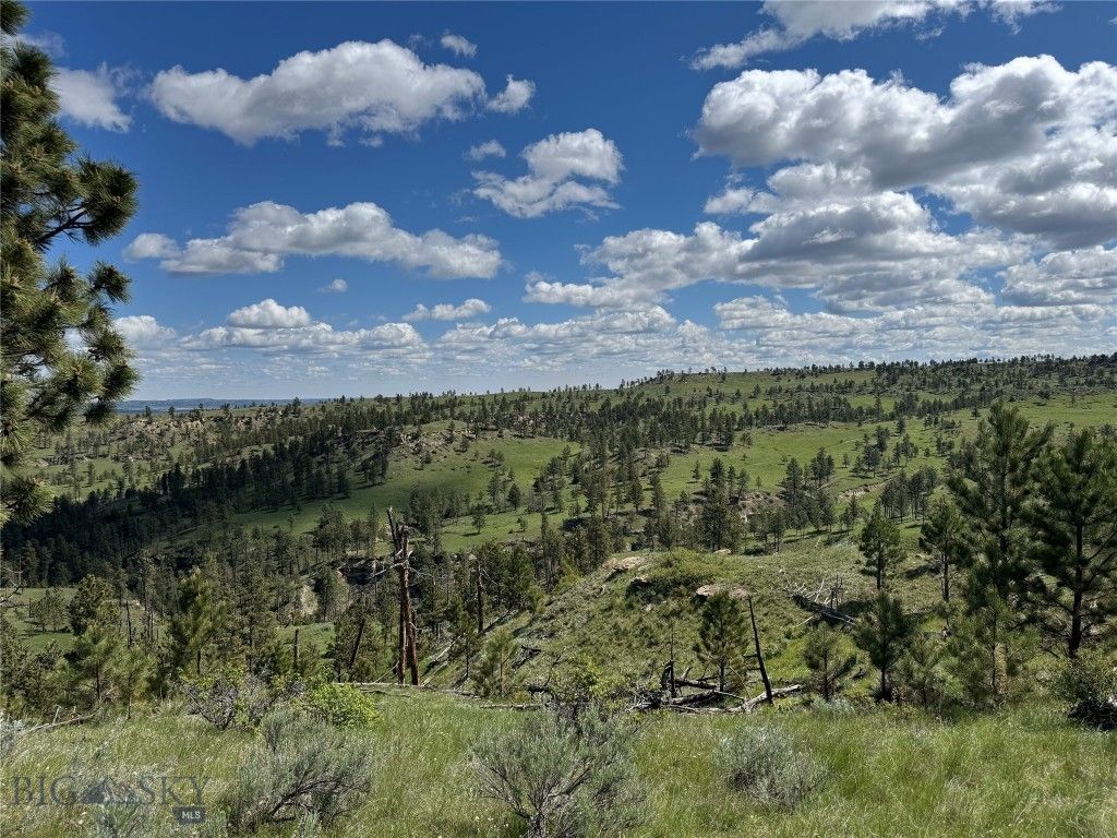 TBD 147A, Hardin, MT 59024 photo 65