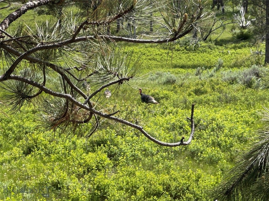 TBD 147A, Hardin, MT 59024 photo 69