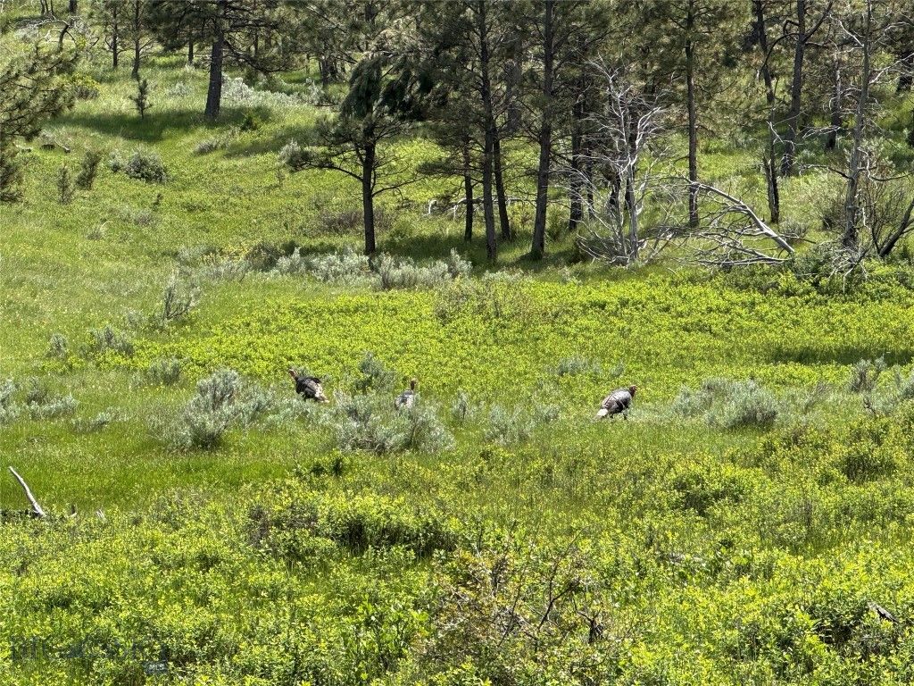 TBD 147A, Hardin, MT 59024 photo 70