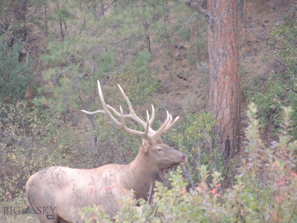 TBD 147A, Hardin, MT 59024 photo 9
