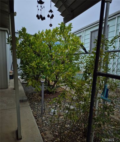 26090 Ivory Palm Drive, Homeland, CA 92548
