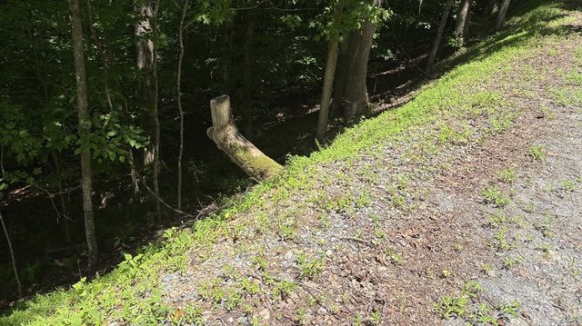 Lot 781 Omen Circle, Ellijay, GA 30540