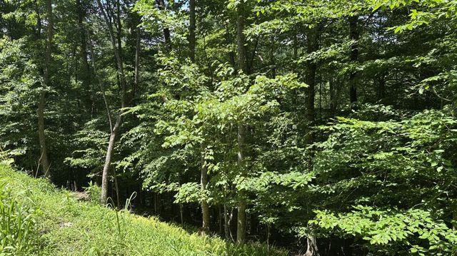 Lot 781 Omen Circle, Ellijay, GA 30540