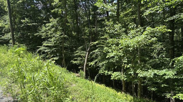 Lot 781 Omen Circle, Ellijay, GA 30540