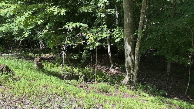 Lot 781 Omen Circle, Ellijay, GA 30540