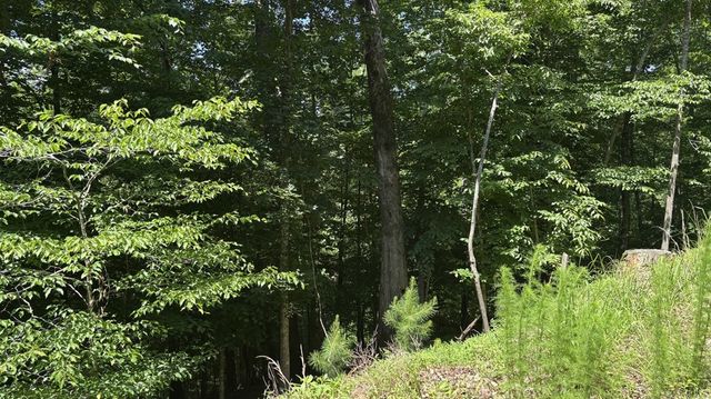Lot 781 Omen Circle, Ellijay, GA 30540