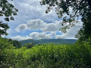 12 Gun Mountain Dr, Monroe, VA 24574