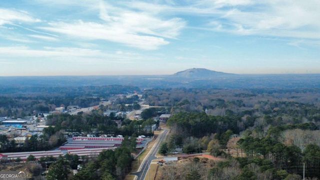 3131 WILDBERRY RUN Lane, Snellville, GA 30078