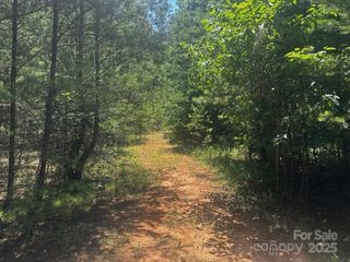 0000 Quail Hill Drive, Rutherfordton, NC 28139