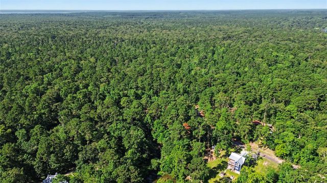 20 Lower Cove Drive, Point Blank, TX 77364