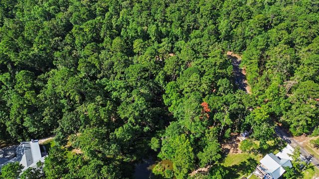 20 Lower Cove Drive, Point Blank, TX 77364