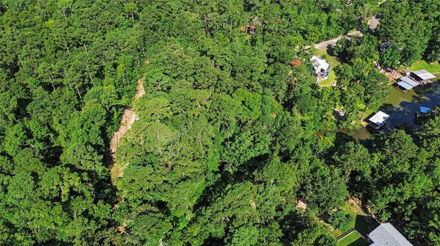 20 Lower Cove Drive, Point Blank, TX 77364